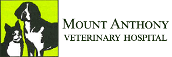 Link to Homepage of Mount Anthony Veterinary Hospital
